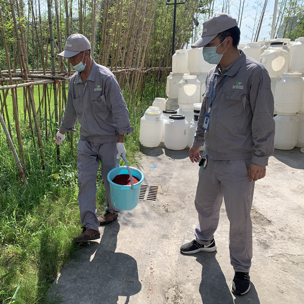 愛衛(wèi)專家出招教你如何滅鼠